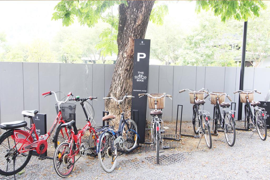 Japan 104-b Khaoyai At Tvl เขาใหญ่ *